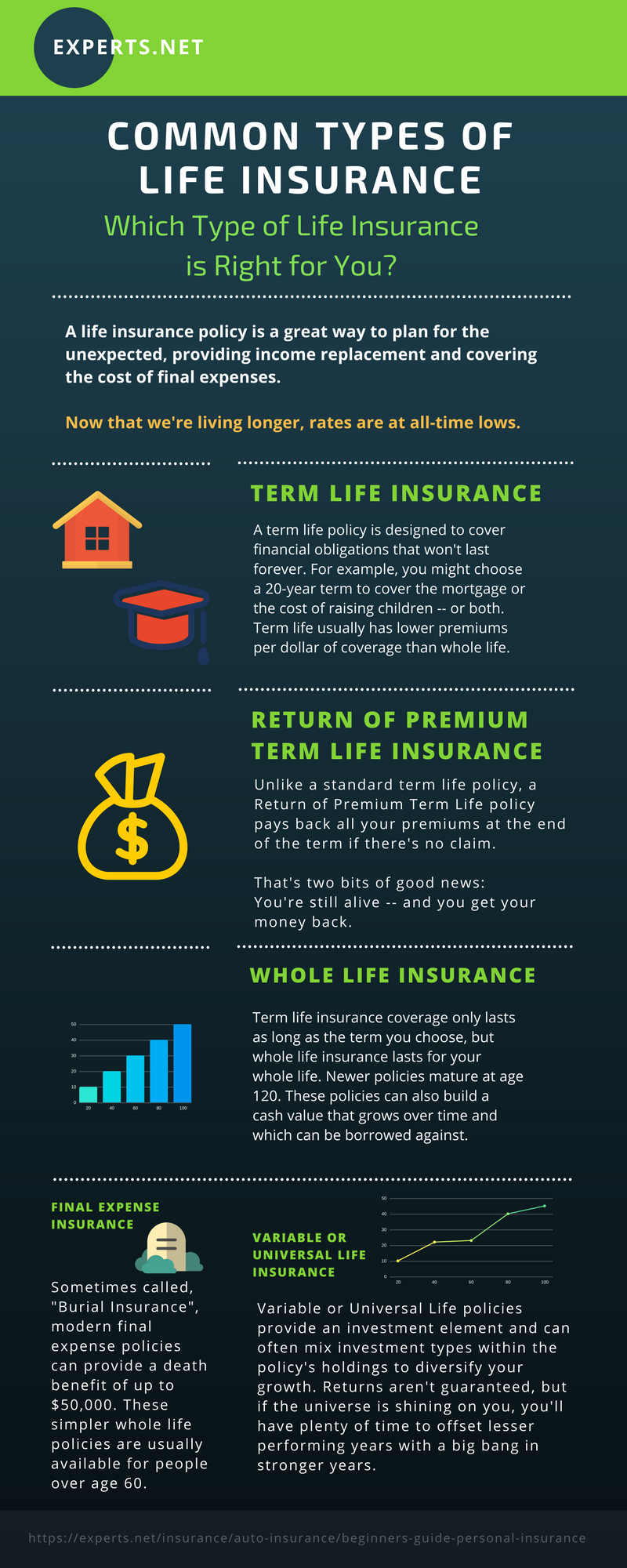 Types of Life Insurance Infographic