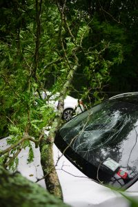 Auto comp insurance: broken glass